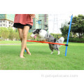 Pet Safe Bar Jump Agility Device Host Hurdle